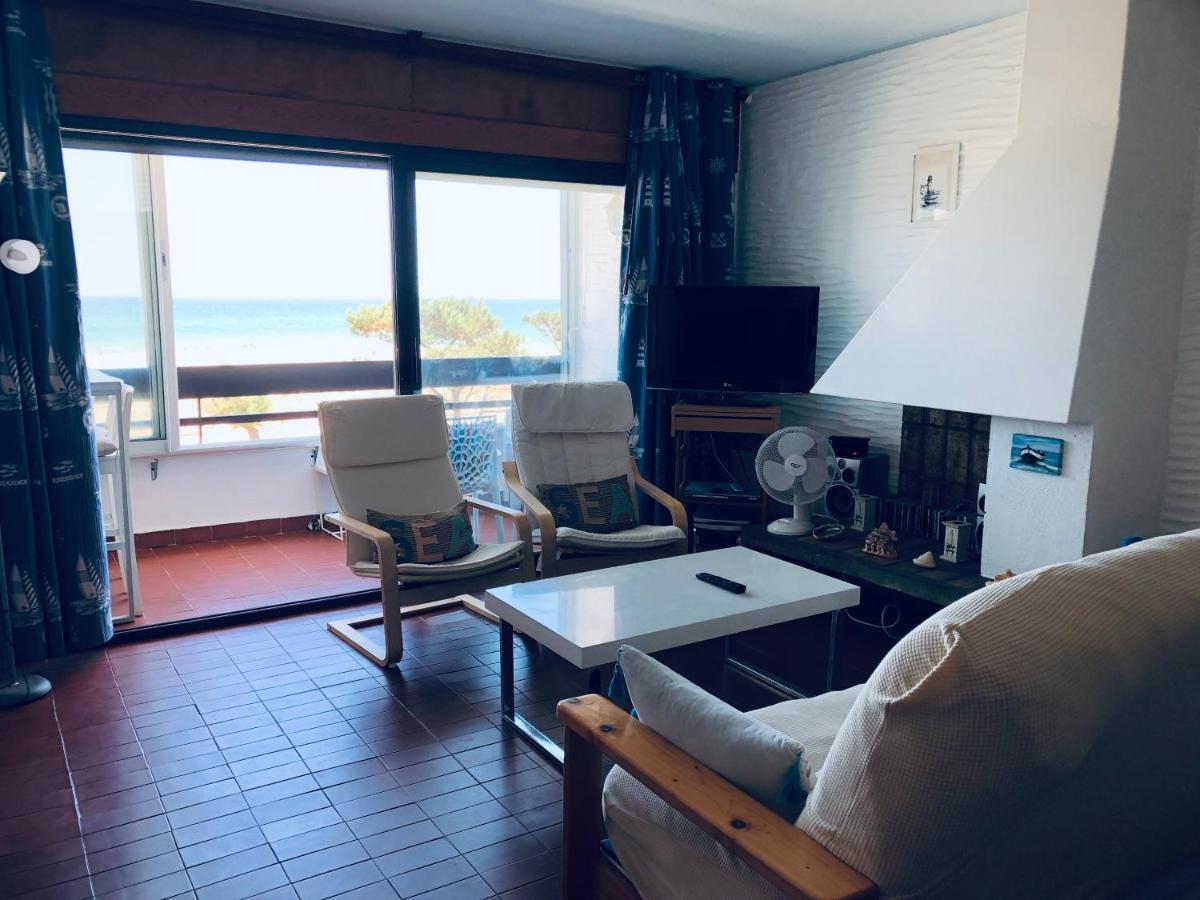 Sur La Plage, Vue Sur Mer, Spacieux T3 Au Calme Saint-Cyprien  Exterior foto